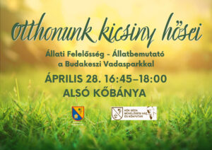 otthonunk kicsiny